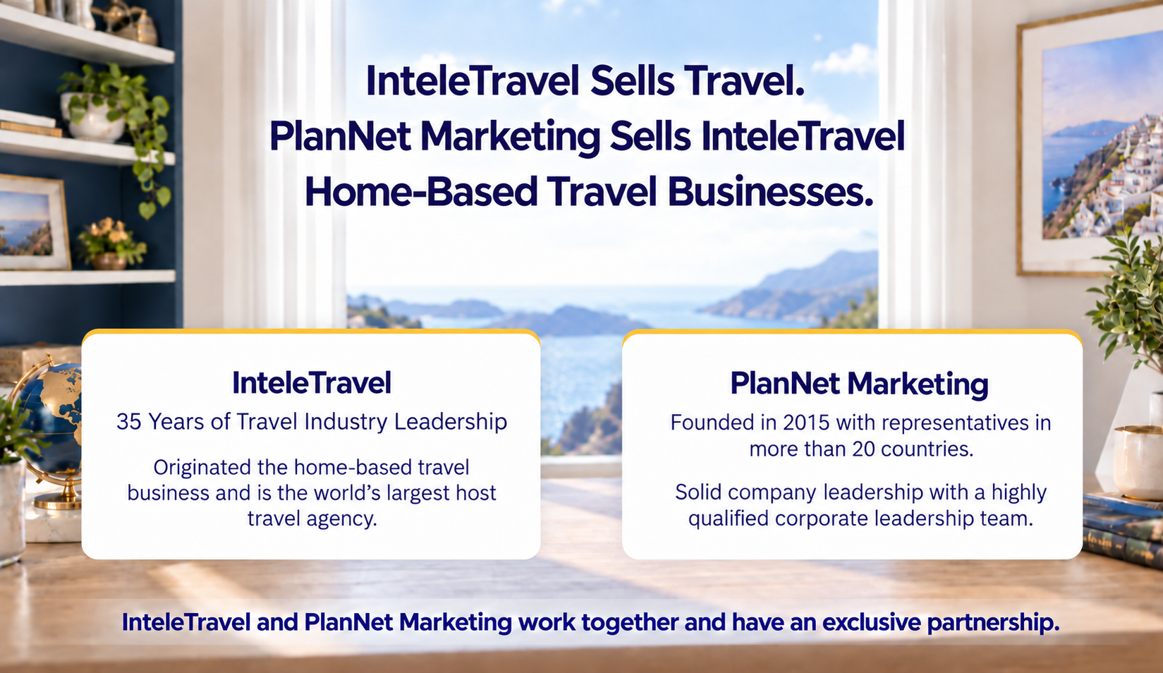 InteleTravel and PlanNet Marketing business overview
